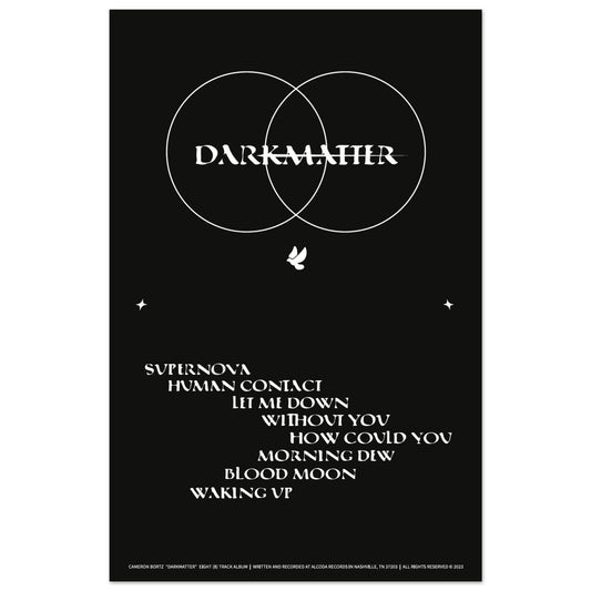 DARKMATTER - 11'x17' Poster